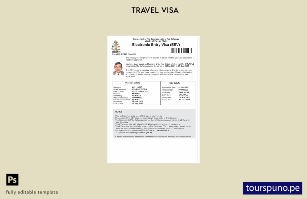 Plantilla de visa electrónica para Bahamas lista para imprimir